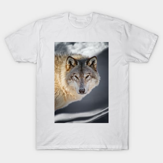 Gray Wolf T-Shirt by jaydee1400